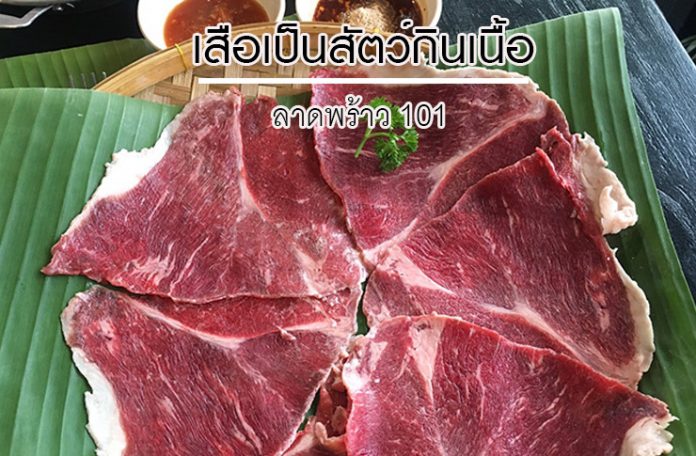 เสือเป็นสัตว์กินเนื้อ