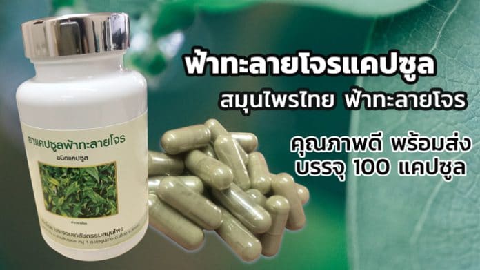 ขายฟ้าทะลายโจรแคปซูล