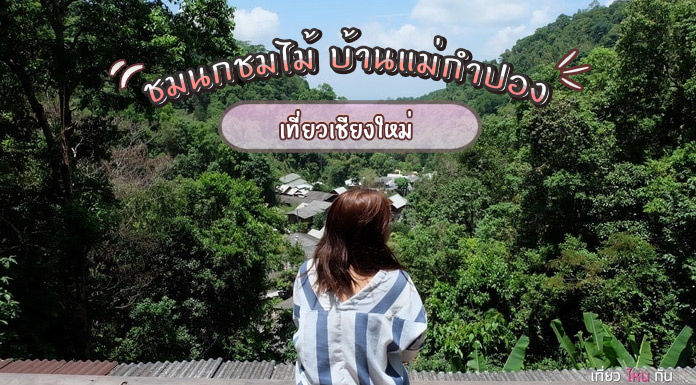 ชมนกชมไม้-บ้านแม่กําปอง