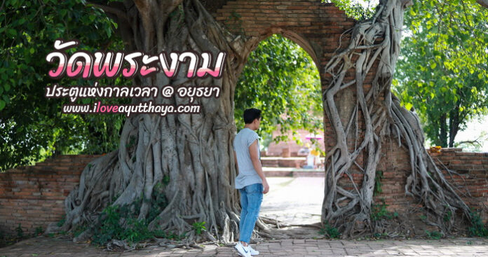 แผนที่วัดพระงาม แผนที่วัดพระงาม