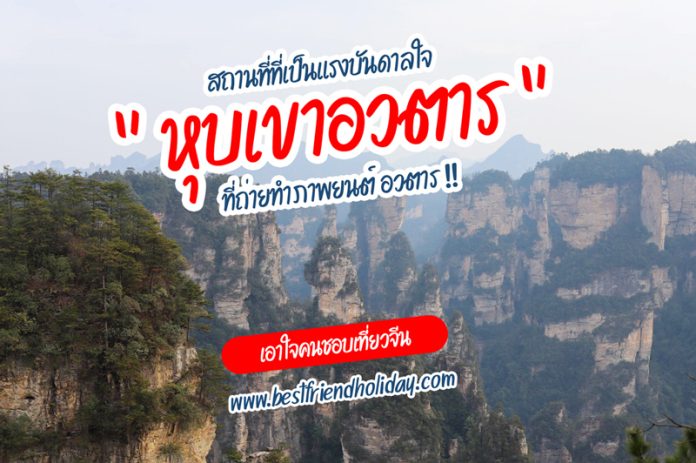 จางเจียเจี้ย