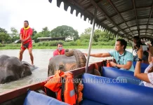 ล่องเรืออยุธยา เริ่มต้น 900 บาท/ลำ ชมโบราณสถาน + ชมช้างอาบน้ำ